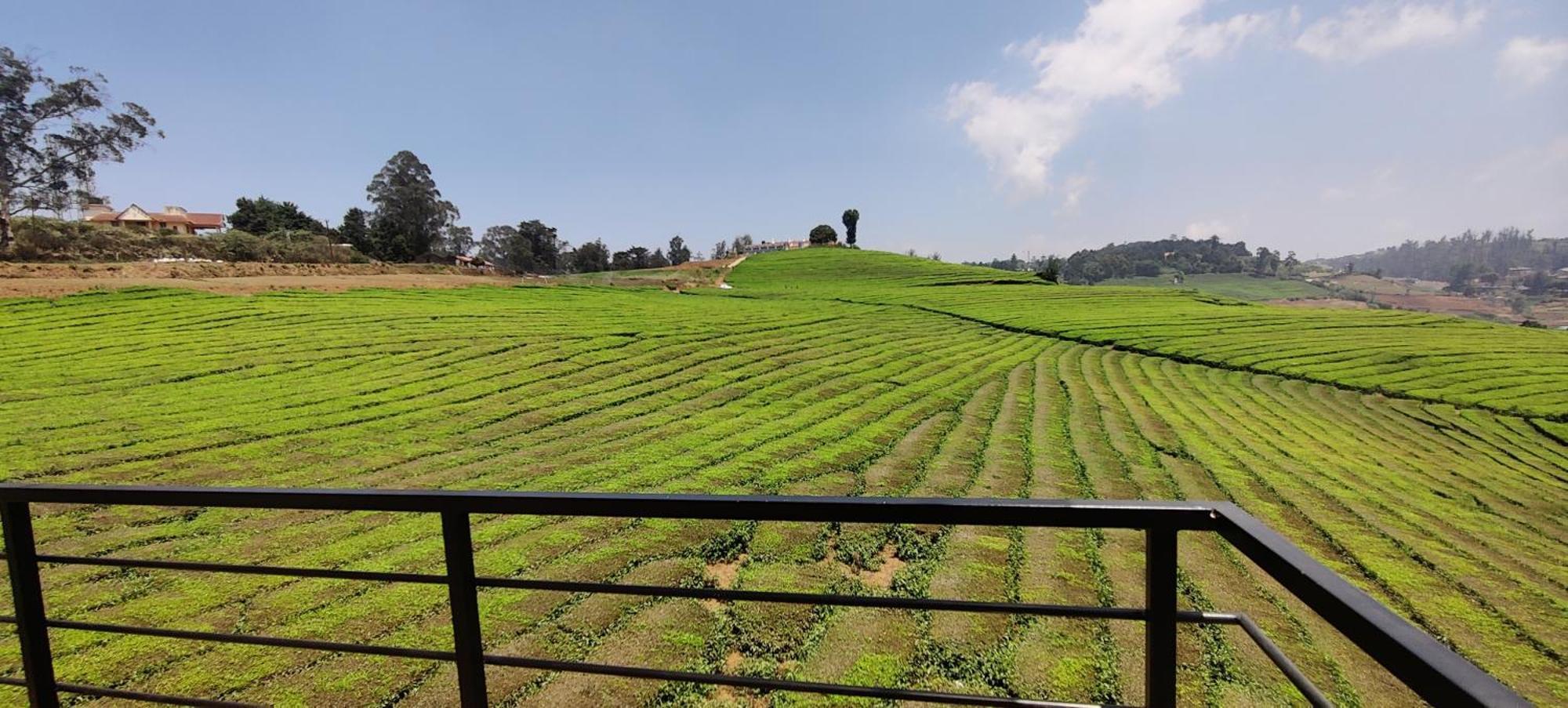Rose Garden Enclave For Families & Executives Bed & Breakfast Ooty Ngoại thất bức ảnh